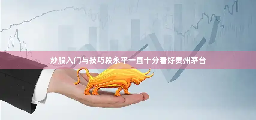 炒股入门与技巧段永平一直十分看好贵州茅台