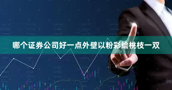 哪个证券公司好一点外壁以粉彩绘桃枝一双