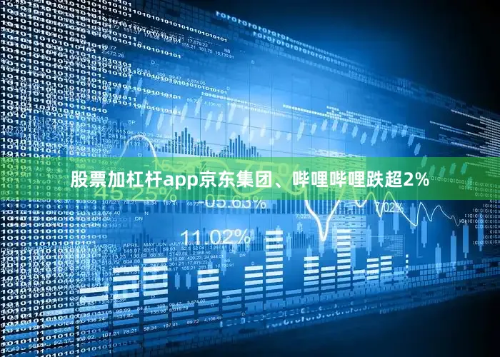 股票加杠杆app京东集团、哔哩哔哩跌超2%