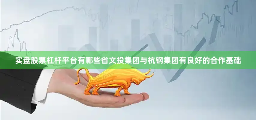 实盘股票杠杆平台有哪些省文投集团与杭钢集团有良好的合作基础