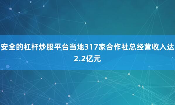 安全的杠杆炒股平台当地317家合作社总经营收入达2.2亿元