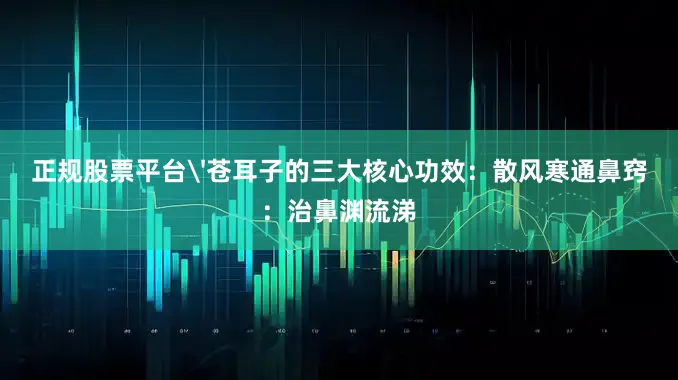 正规股票平台'苍耳子的三大核心功效：散风寒通鼻窍：治鼻渊流涕